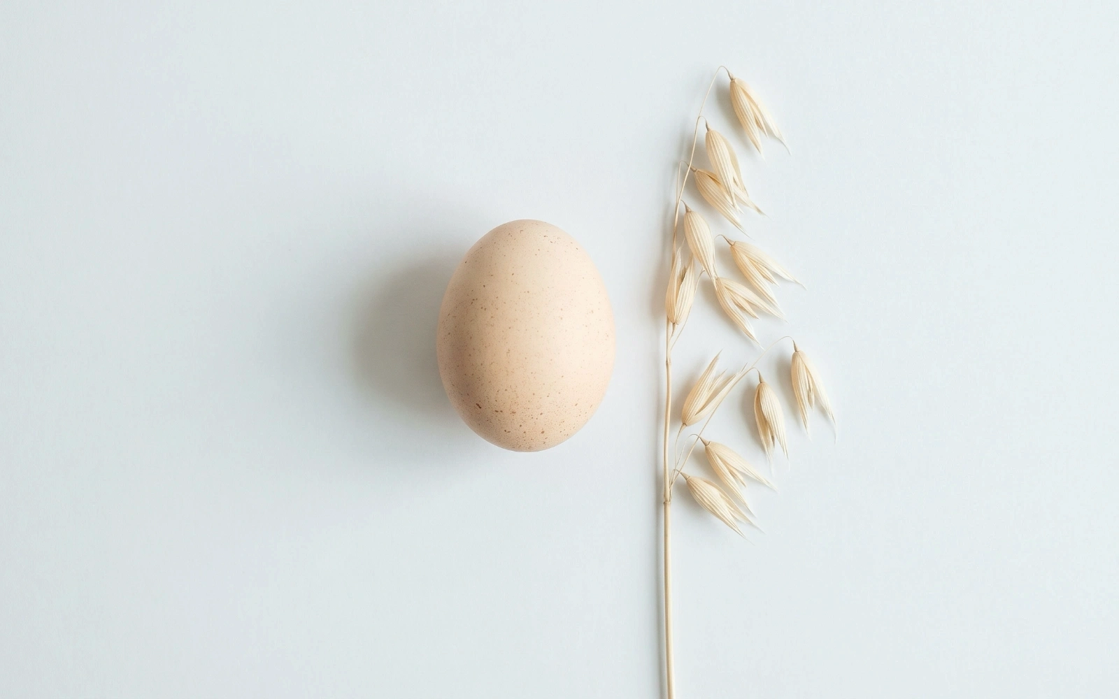 Fibre Is the New Protein
