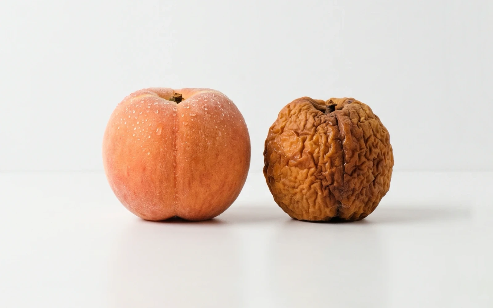 Why Your Skin Ages Faster When Your Gut Is Out of Balance