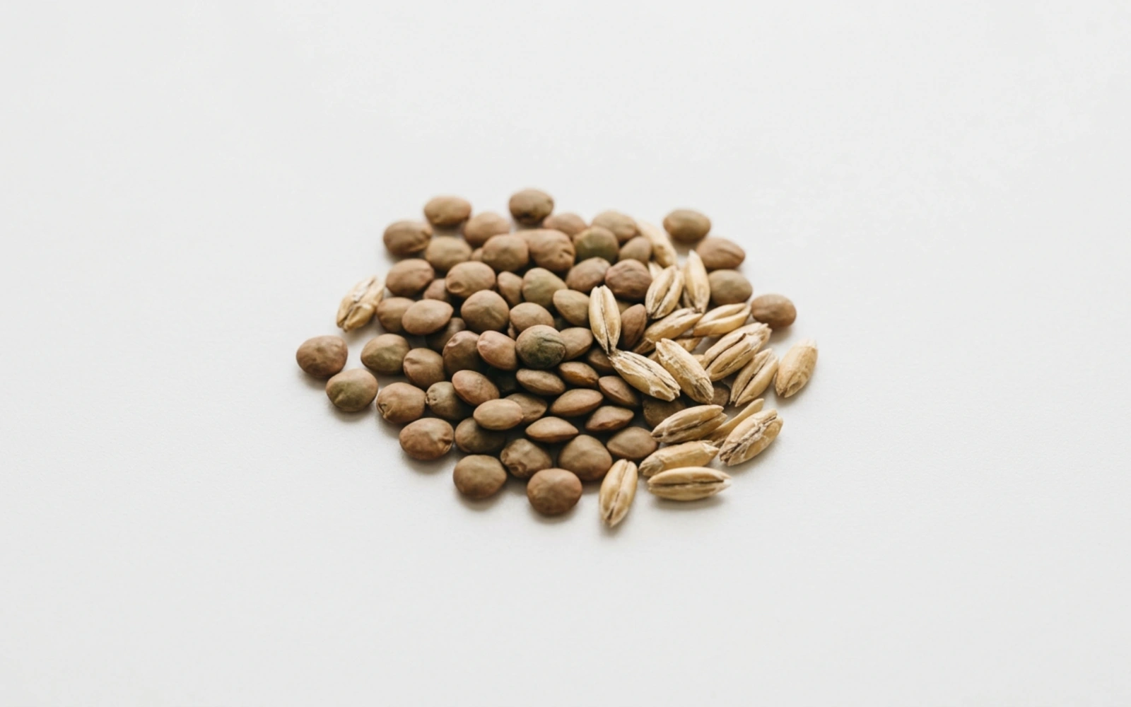 Can You Get Enough Prebiotic Fibre From Food Alone?